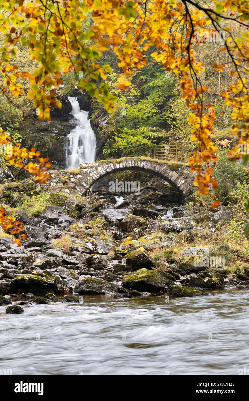 Ponte di Packhorse (conosciuto localmente come Ponte Romano) e cascata in autunno, Glen Lione, Scozia, Regno Unito Foto Stock