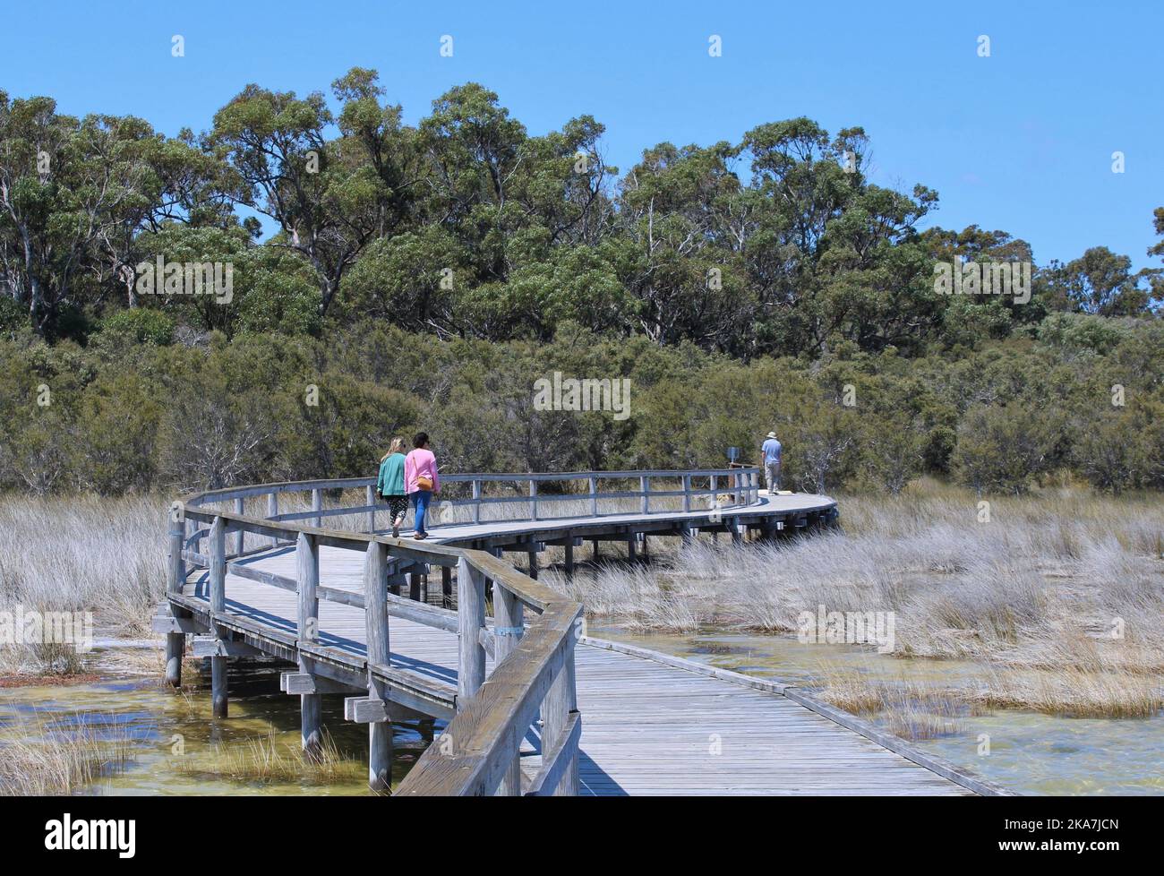 Lago Clifton, Australia Occidentale, Adulti 50s,60s, prendendo in siti in Australia Foto Stock