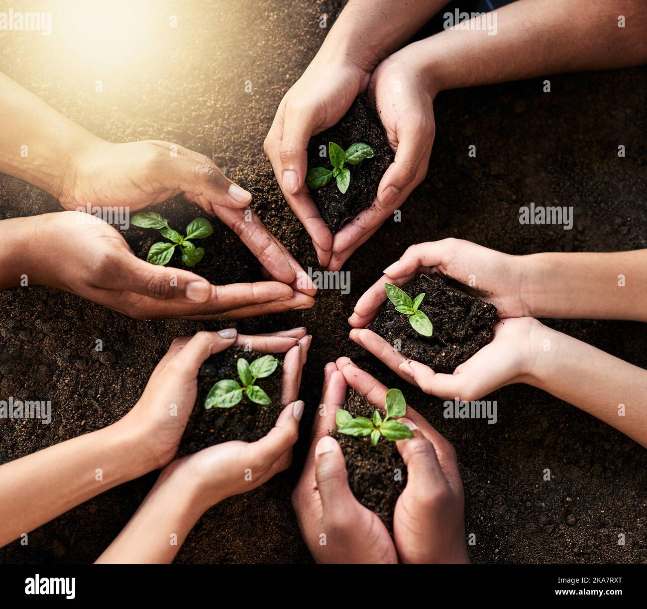 È un investimento per la nostra comunità e le generazioni future, un gruppo di persone irriconoscibili che detengono piante che crescono fuori dal suolo. Foto Stock