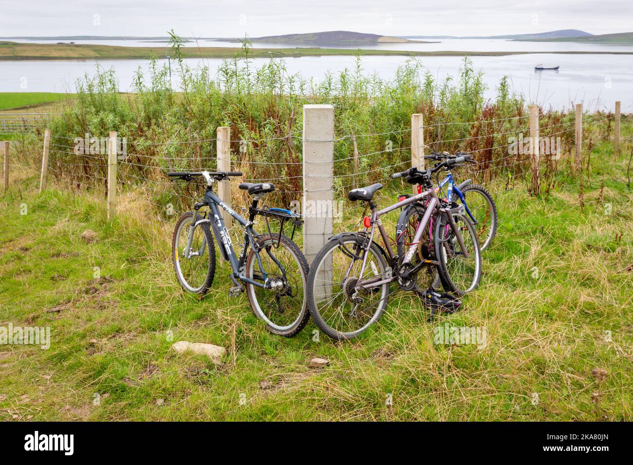 Tre biciclette su una recinzione, Rousay, Orkney, Regno Unito Foto Stock