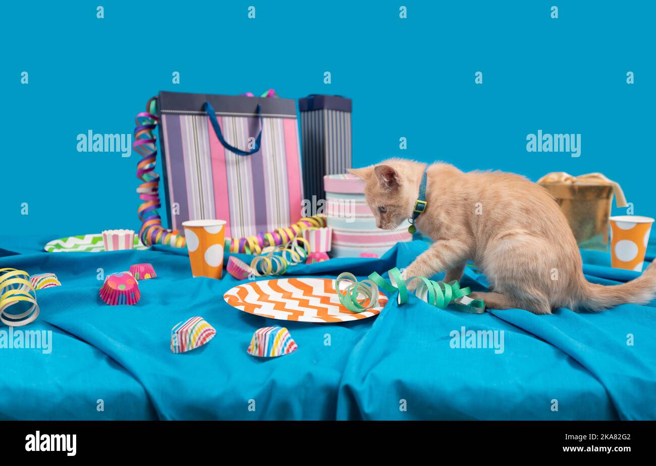 Piccolo gatto tabby giallo chiaro del bambino che disordine su un tavolo di compleanno con i streamers, le piastre di plastica e le borse di goodie su una tovaglia blu contro b azzurro Foto Stock