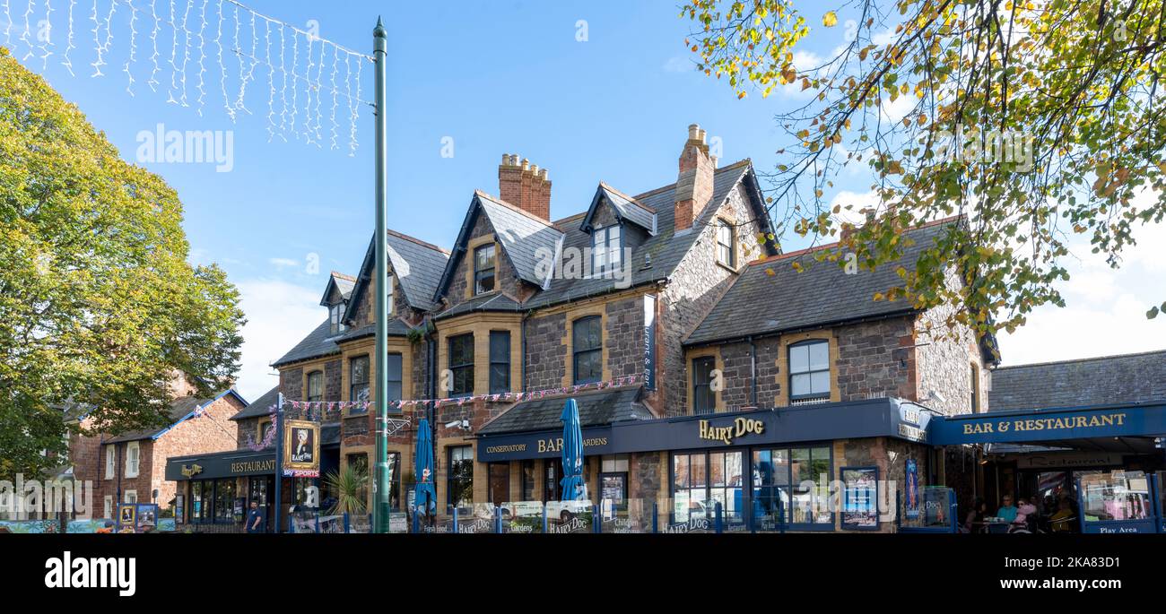 The Hairy Dog Public House, The Avenue, Minehead, North Devon, Devon, Inghilterra, Regno Unito Foto Stock