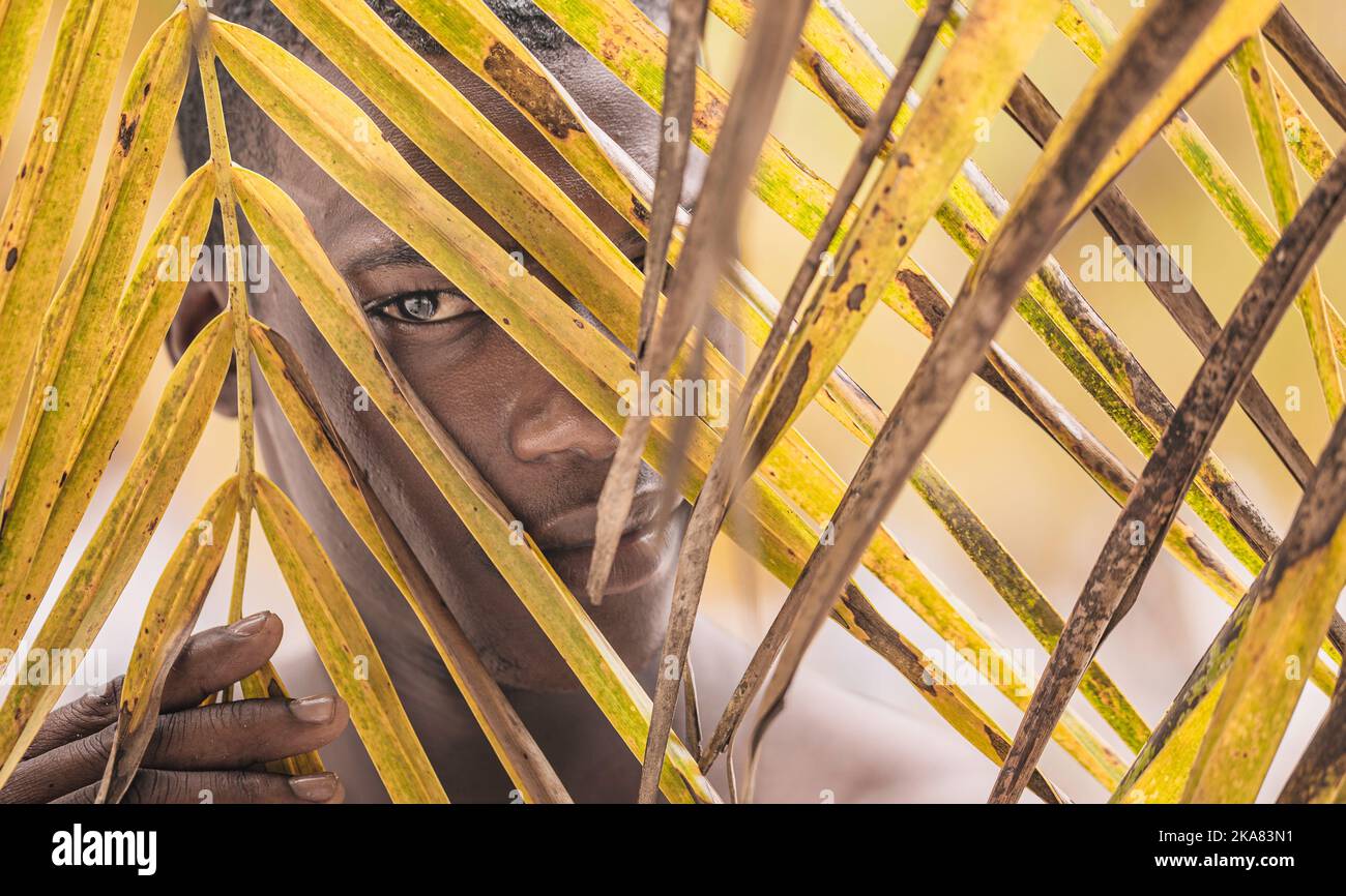 Il viaggiatore afro-americano maschio si nasconde dietro le foglie di palma gialle e guarda la macchina fotografica mentre trascorre il giorno di fine settimana estivo in spiaggia Foto Stock