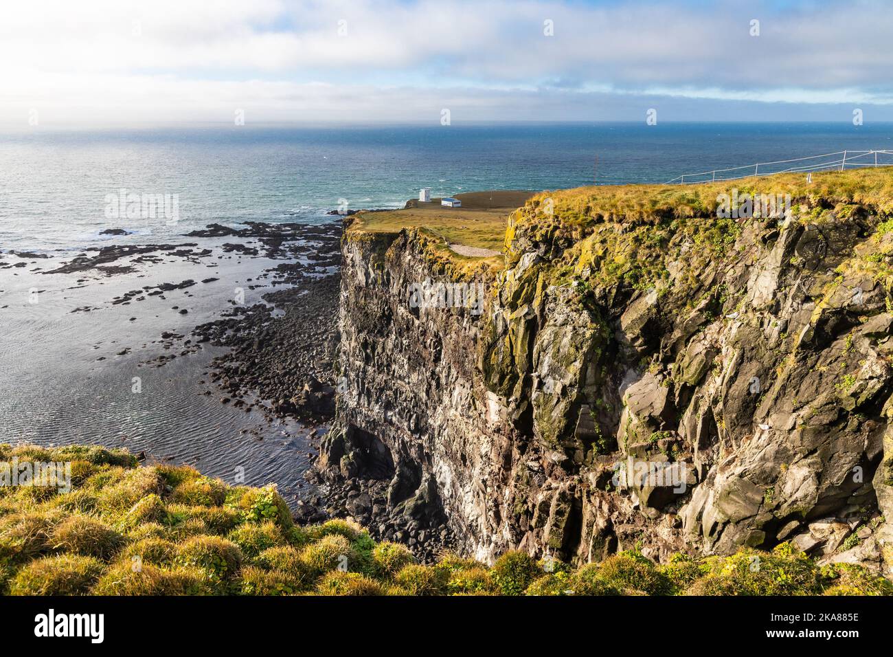 Latrabjarg è una popolare destinazione panoramica a Westfjords Islanda con scogliere naturali, casa di milioni di uccelli tra cui puffins Foto Stock