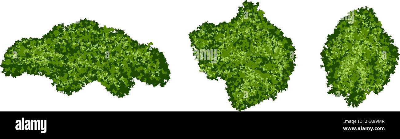 Set di isole verdi muschio o lichene foresta con struttura realistica isolato su sfondo bianco Illustrazione Vettoriale