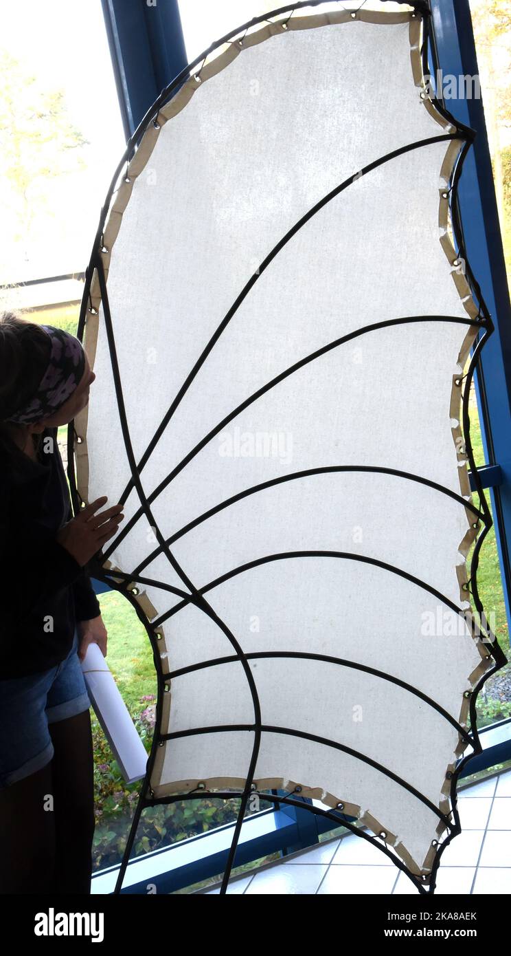 31 ottobre 2022, Sassonia, Grimma: Nella mostra "da Vinci 500 - Moving invenzioni" nel Wilhelm Ostwald Park, una donna guarda un modello di un'ala di un animale coperta di tessuto e che misura oltre due metri. La mostra è uno dei 27 modelli 100 funzionali sviluppati, progettati e realizzati dagli studenti del Dipartimento di Ingegneria e Matematica dell'Università di Scienze applicate di Bielefeld sulla base di schizzi della matematica italiana. Fino a marzo 2023, i visitatori possono non solo visualizzare i modelli, ma anche provarli e comprendere i processi tecnici. Foto: Waltraud Gruditzsch/dpa Foto Stock