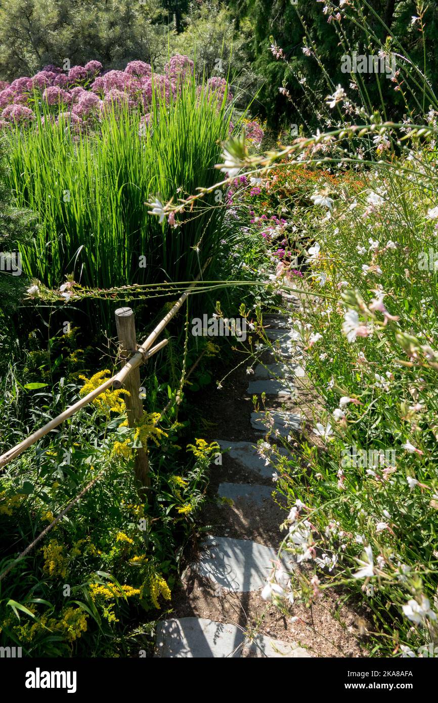 Uno stretto sentiero nel giardino tra piante perenni mature a metà estate Foto Stock