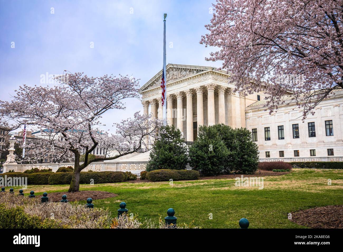 Vista frontale della Corte Suprema degli Stati Uniti attraverso il paesaggio della fioritura dei ciliegi, Washington DC, USA Foto Stock