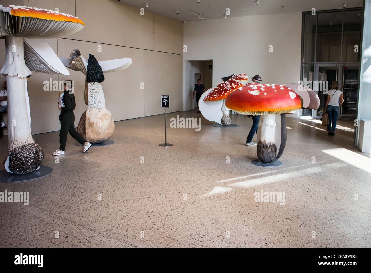 LUMA Arles, esposizione interna : Fungo triplo gigante di Carsten Höller (2009) Foto Stock