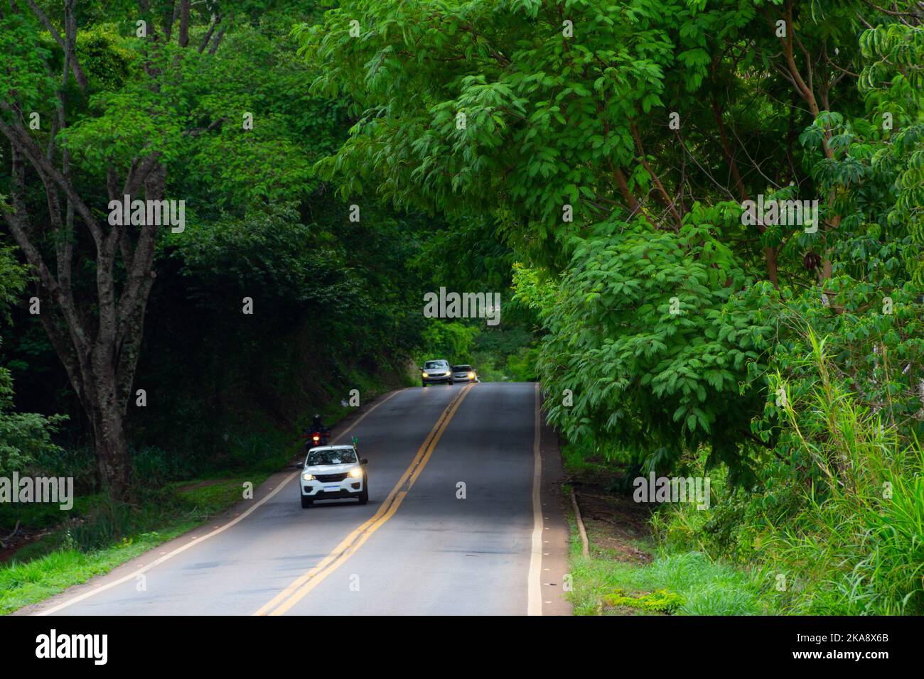 Paesaggio di un tratto di autostrada GO-462, con alcune auto sulla strada, a Goiás. Tunnel dell'albero. Strada Goiás. Foto Stock