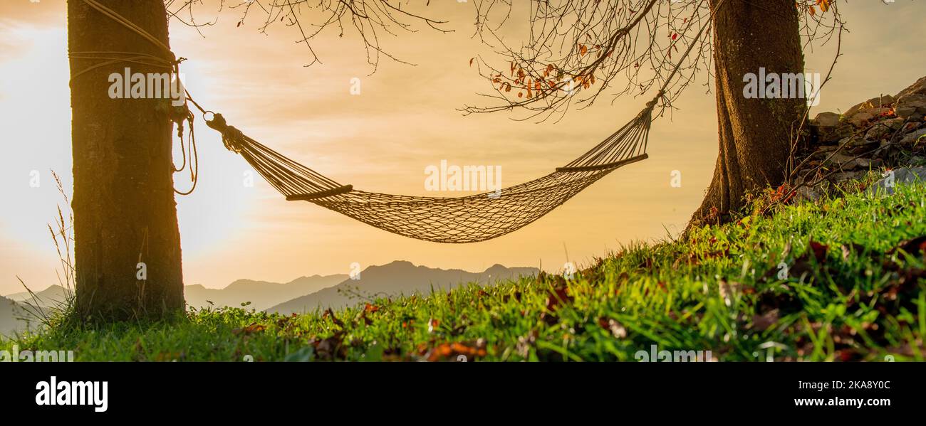 Amaca sospesa tra due alberi al tramonto Foto Stock