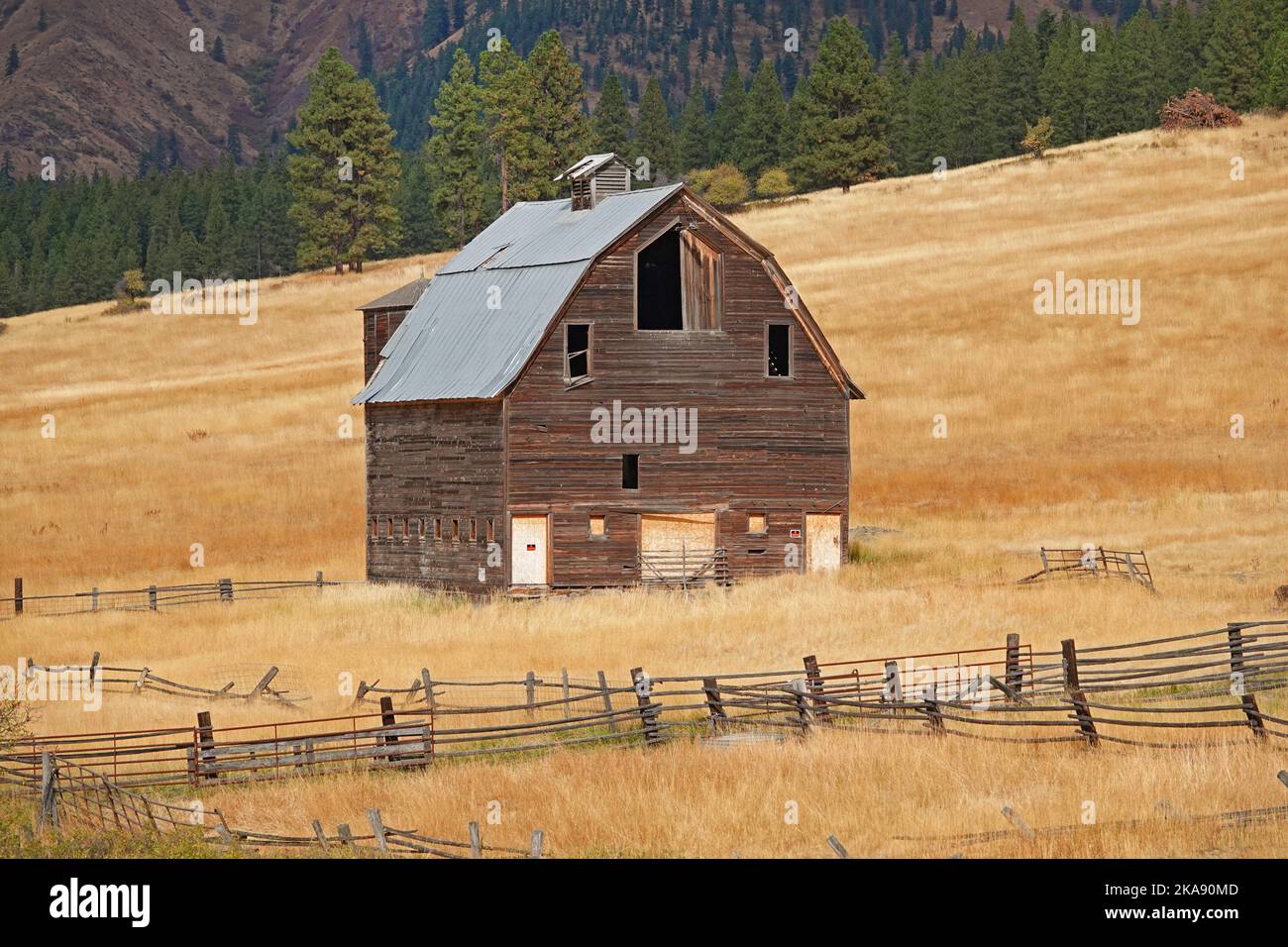 Un fienile a lungo abbandonato su una collina nella National Forest Land nel centro dello stato di Washington, sul versante orientale della Cascade Range. Foto Stock