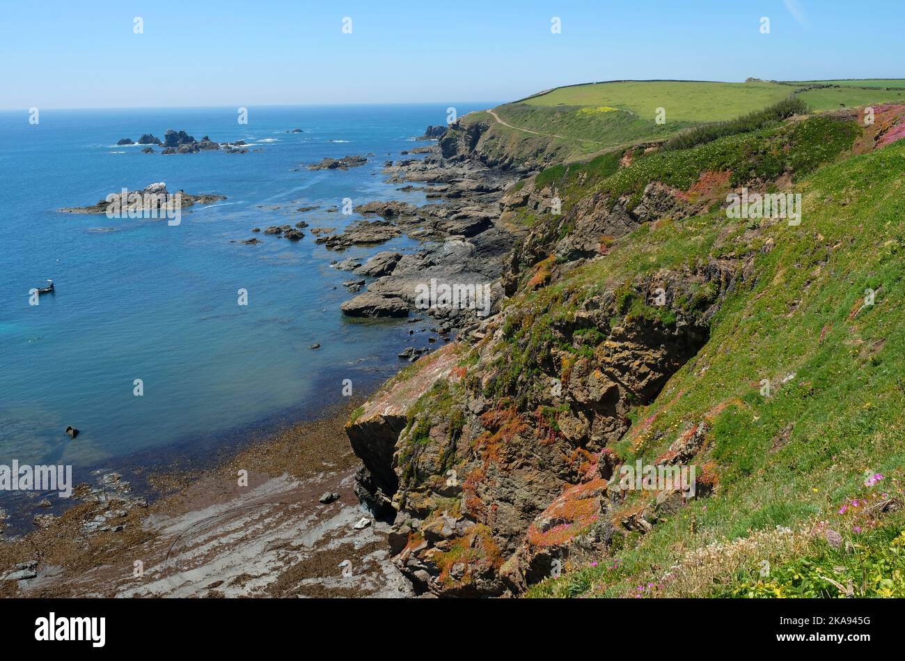 La costa della Cornovaglia a Lizard Point, Cornovaglia, Regno Unito - John Gollop Foto Stock