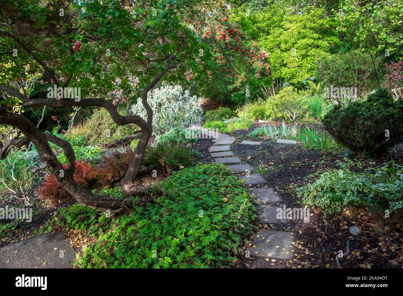 Giardini vittoriani a Government House, Victoria, British Columbia, Canada Foto Stock