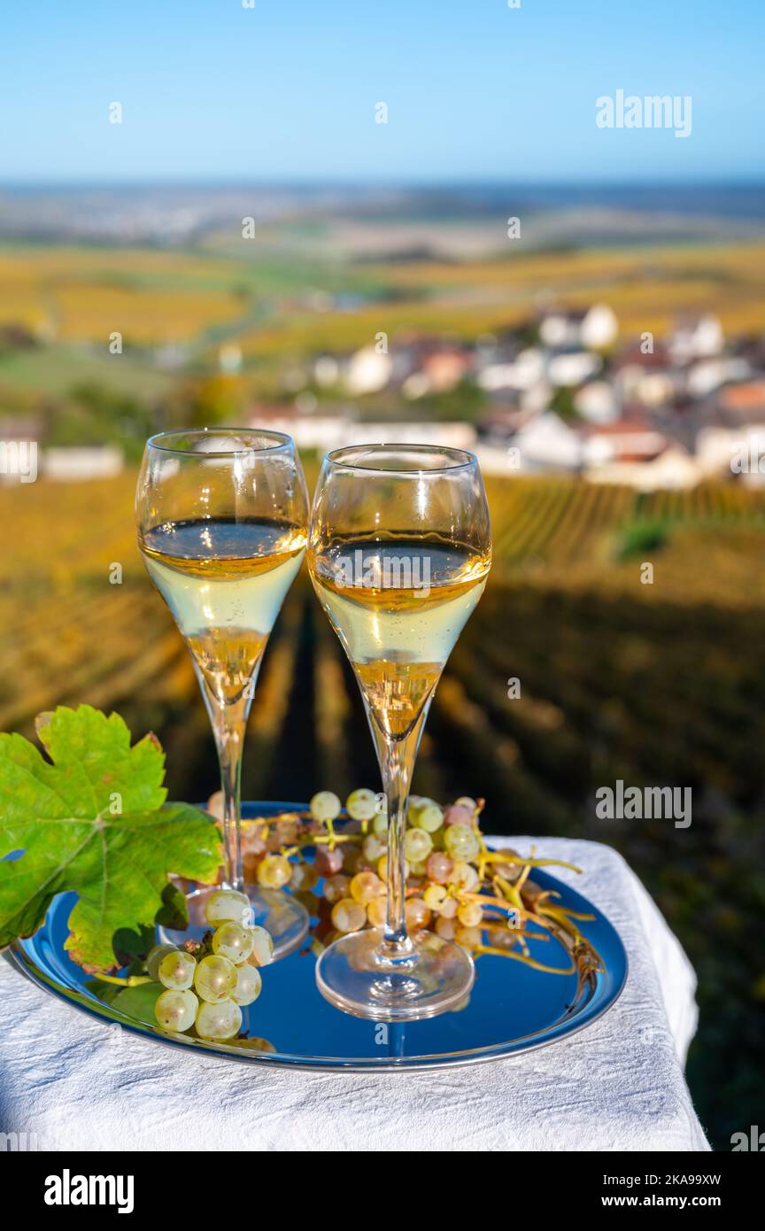 Degustazione di vino bianco frizzante francese con champagne bollicine  sulla terrazza all'aperto con vista sui colorati vigneti di Grand cru  Champagne nel villaggio di Craman Foto stock - Alamy