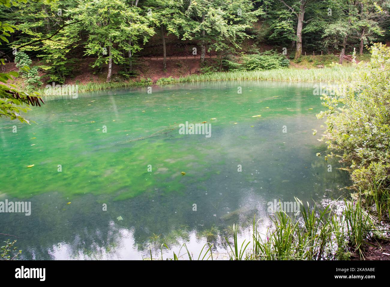 Un bellissimo lago Grza, fiume Grza in Serbia Foto Stock