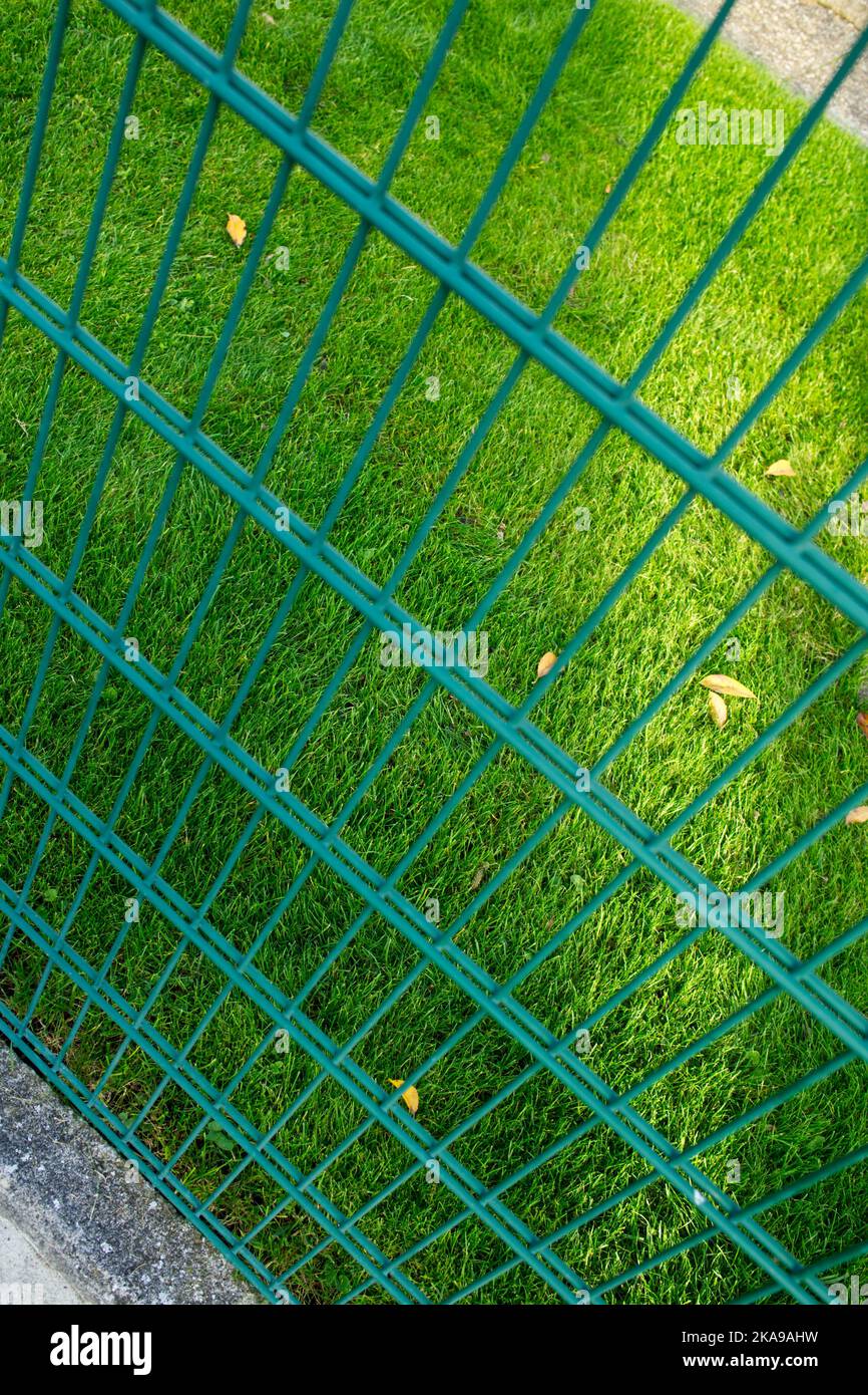 prospettiva attraverso una recinzione di filo verde in un prato verde con una striscia di luce solare Foto Stock