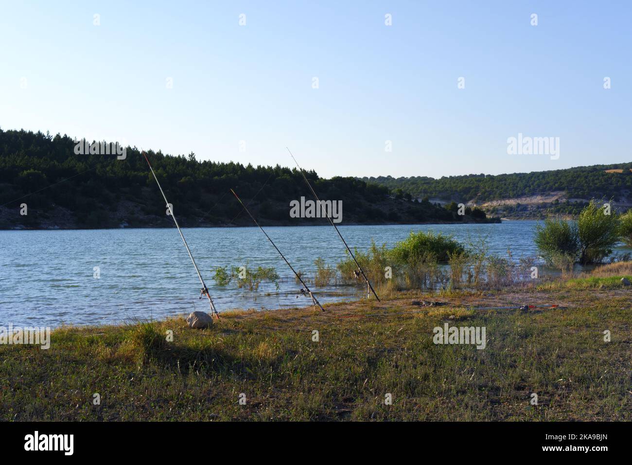 Colline sul lago, alberi e cespugli sul lago. Foto Stock