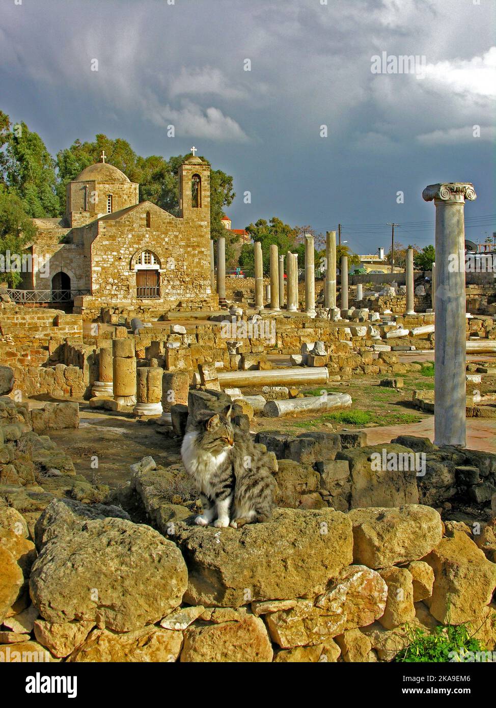 Chiesa di Agia Kyriaki, { Basilica Chrysopolitissa } Paphos, Cipro Foto Stock