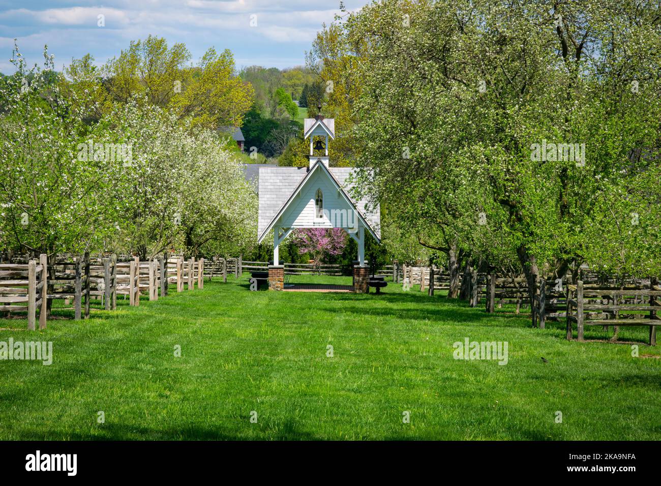 Vista sui droni di un frutteto e di un gazebo in una giornata di primavera Foto Stock