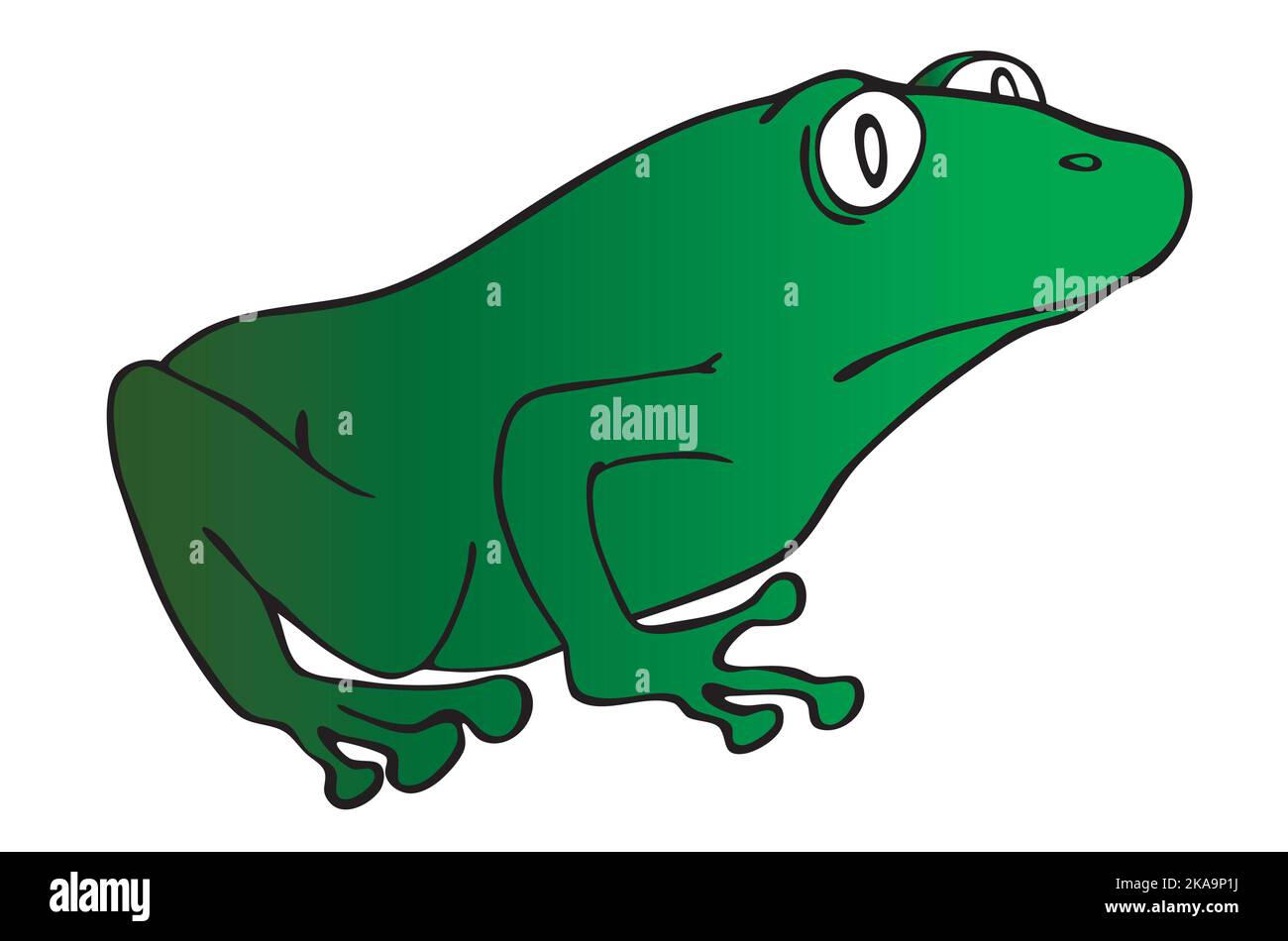 Illustrazione cartoon della rana verde Illustrazione Vettoriale