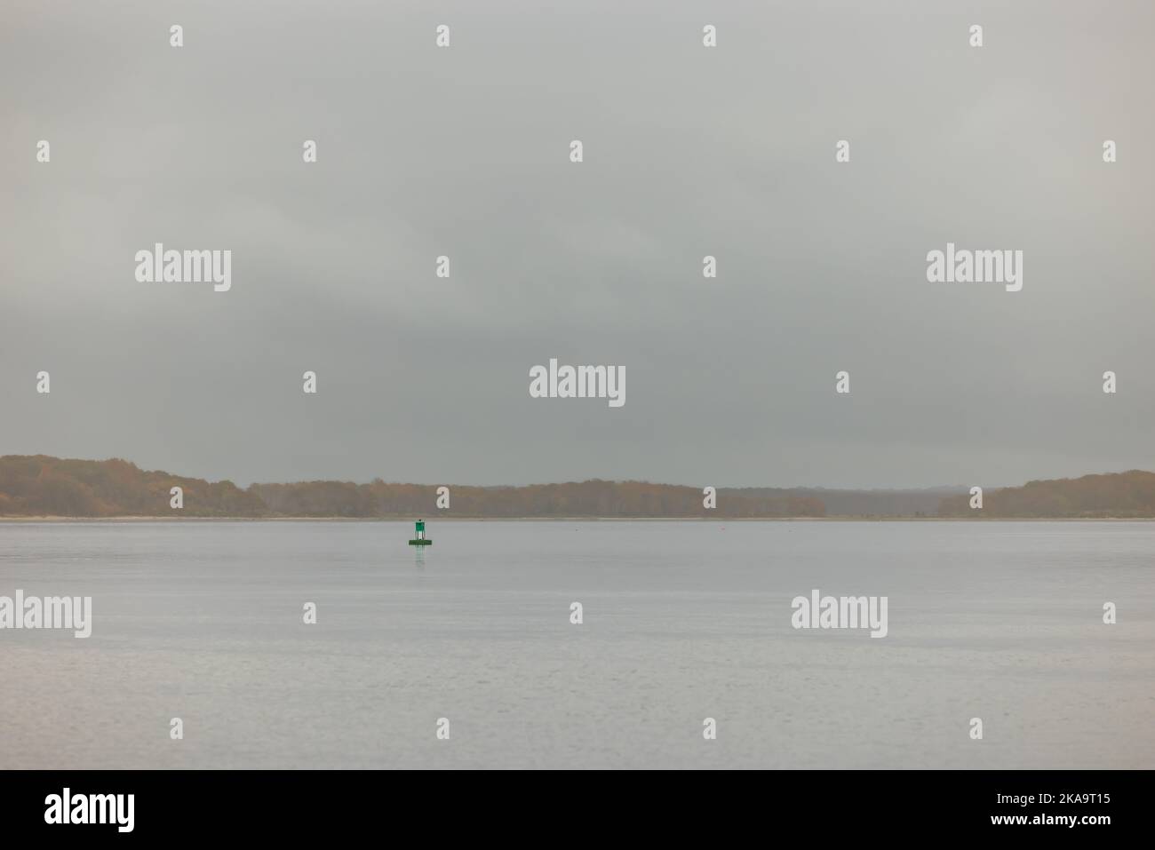 Green navigation buoy on a foggy day Foto Stock