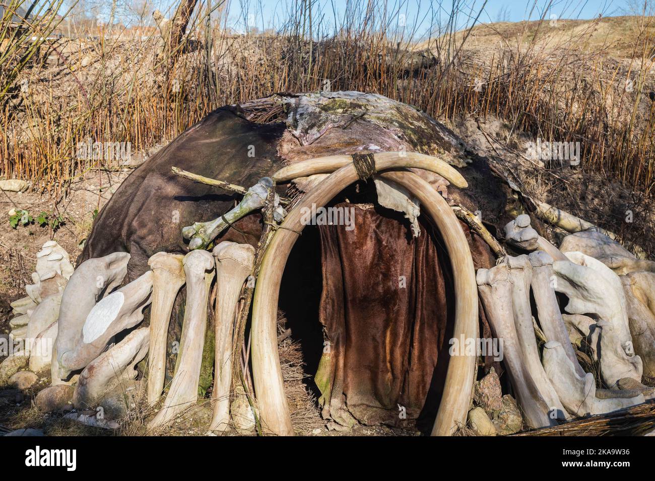 Capanna di persone primitive, costruita di ossa e pelle Foto Stock
