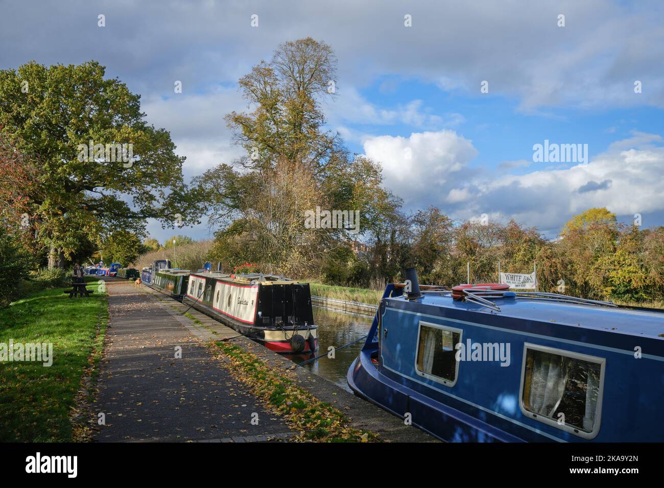 Canale di Llangollen a Ellesmere, Shropshire Foto Stock