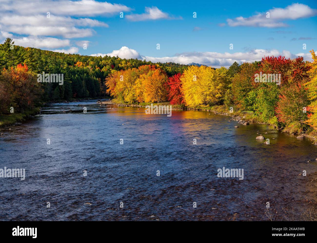 Colorati alberi cadono intorno al fiume Saranac nelle Adirondacks nello stato di New York in autunno Foto Stock