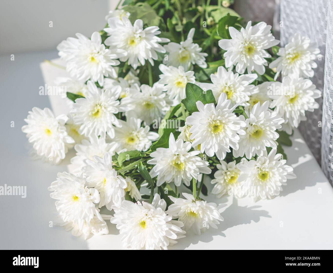 Bouquet di fiori di crisantemo giacenti sul davanzale bianco. Mattina di sole in casa accogliente. Foto Stock