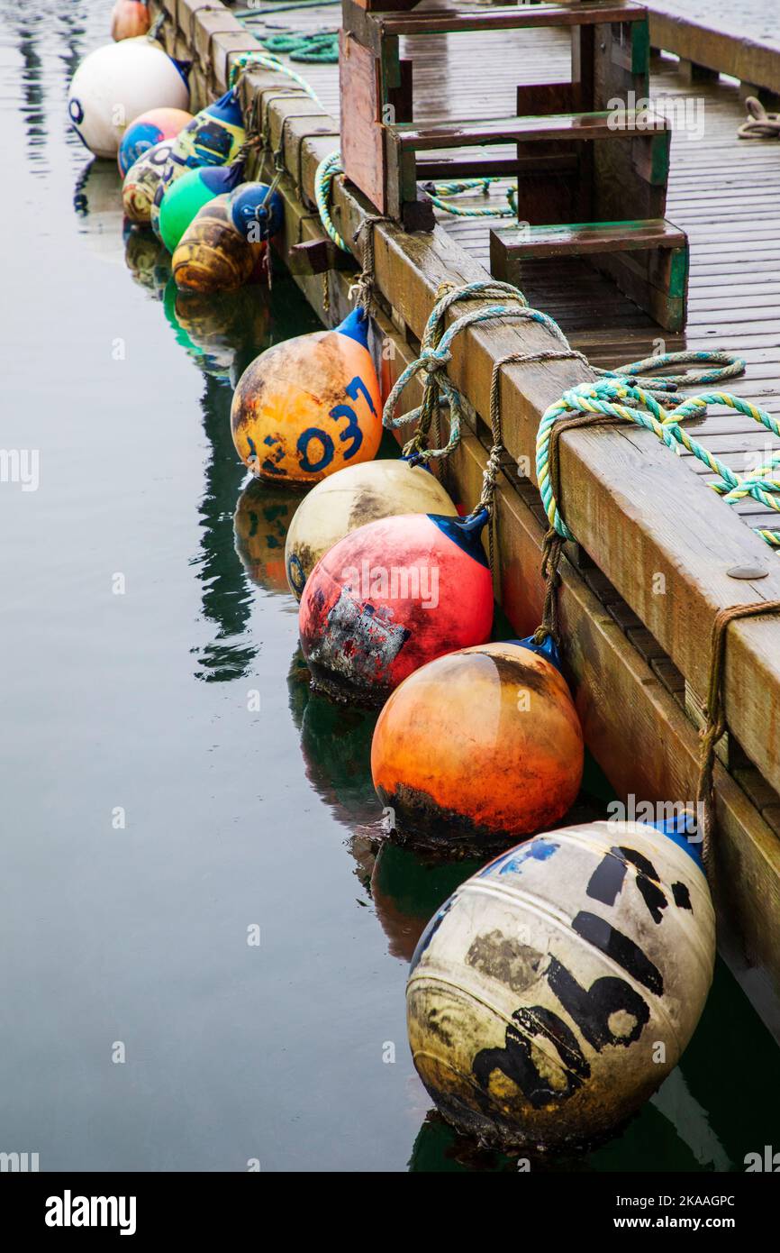 Galleggianti e galleggianti da pesca colorati. Barche da pesca commerciali e charter nel porto di Kodiak, Alaska, USA. Foto Stock