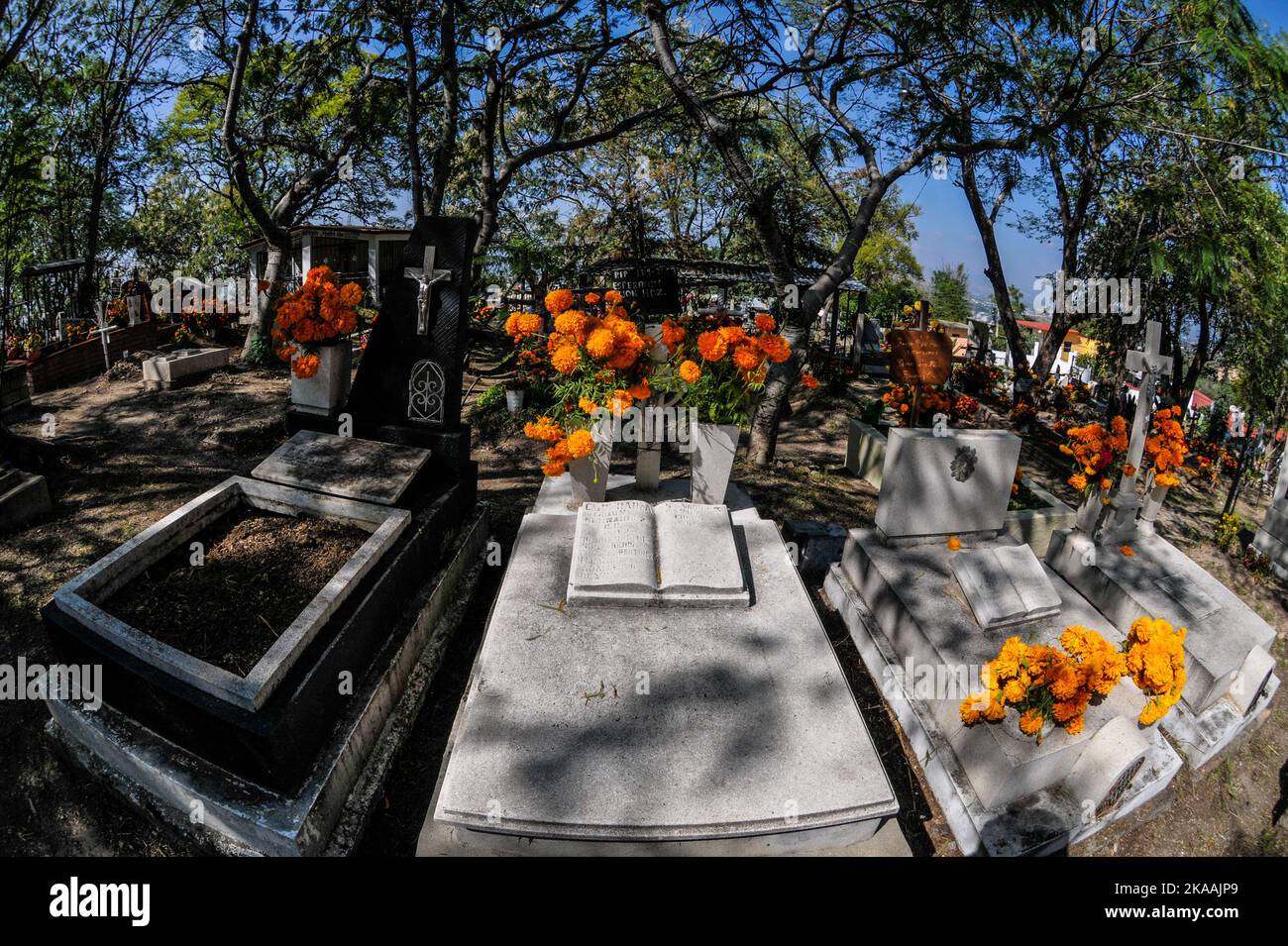 San Agustin Etla, Messico: 1 novembre 2022, la gente frequenta il cimitero di San Agustin per adornare le tombe dei loro cari con fiori Cempasuchil e candele leggere come parte delle tradizioni dia de Muertos. Il 1 novembre 2022 a San Agustin Etla, Messico. (Foto di Ginare/ Eyepix Group) Foto Stock