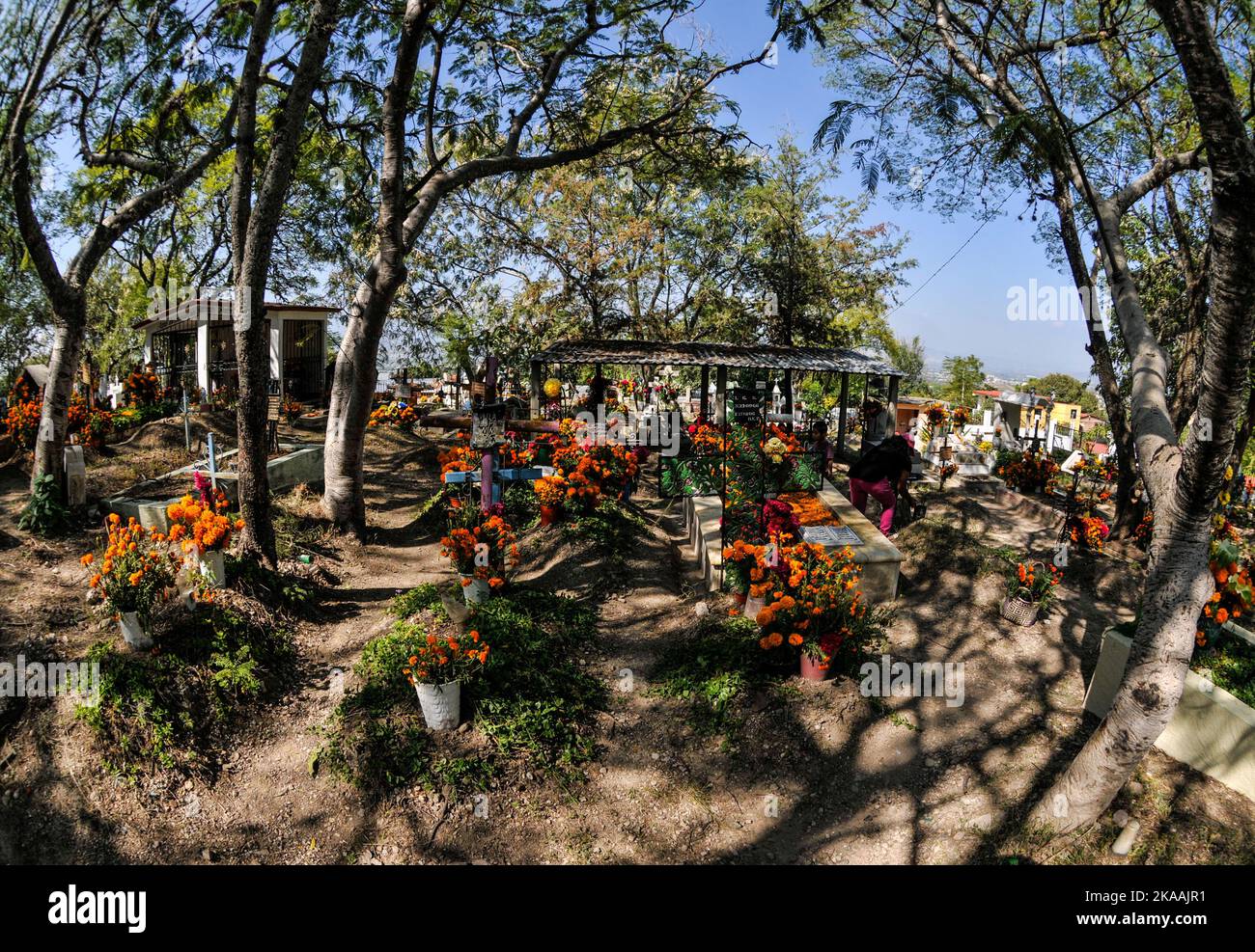 San Agustin Etla, Messico: 1 novembre 2022, la gente frequenta il cimitero di San Agustin per adornare le tombe dei loro cari con fiori Cempasuchil e candele leggere come parte delle tradizioni dia de Muertos. Il 1 novembre 2022 a San Agustin Etla, Messico. (Foto di Ginare/ Eyepix Group) Foto Stock