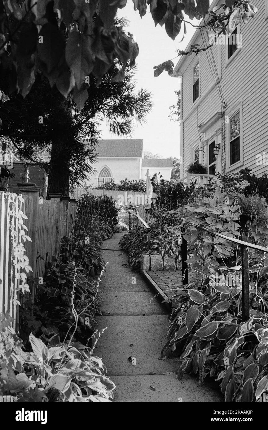 Un sentiero stretto con giardini su entrambi i lati si intreccia tra gli edifici di Rockport, Massachusetts. L'immagine è stata catturata su pellicola analogica in bianco e nero. Foto Stock