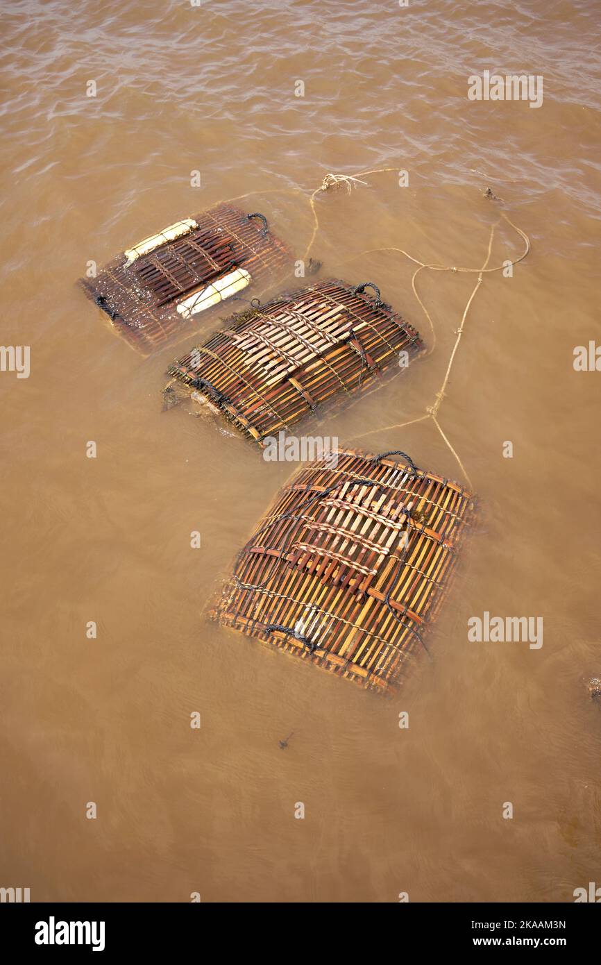 Pesca di granchio KEP Cambogia Foto Stock