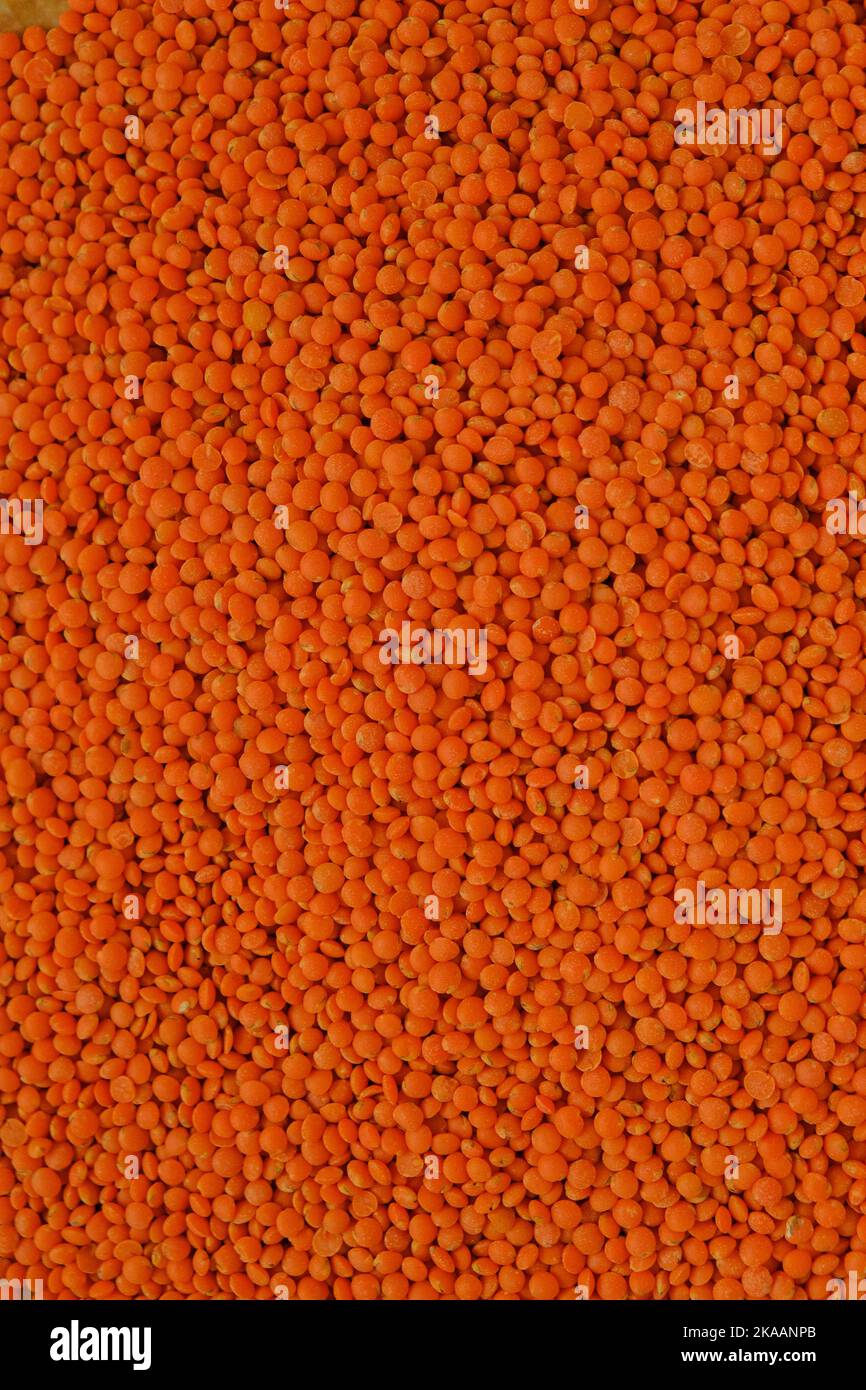 lenticchie groats background. proteina vegetale. Prodotti di fagiolo. Lenticchie arancioni grits. Cereali e legumi. Cibo carboidrato. Foto Stock
