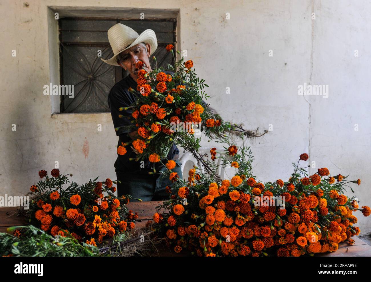 San Agustin Etla, Messico. 1st Nov 2022. La gente frequenta il cimitero di San Agustin per adornare le tombe dei loro cari con fiori di Cempasuchil e candele leggere come parte delle tradizioni di dia de Muertos. Il 1 novembre 2022 a San Agustin Etla, Messico. (Credit Image: © Ginare/eyepix via ZUMA Press Wire) Foto Stock