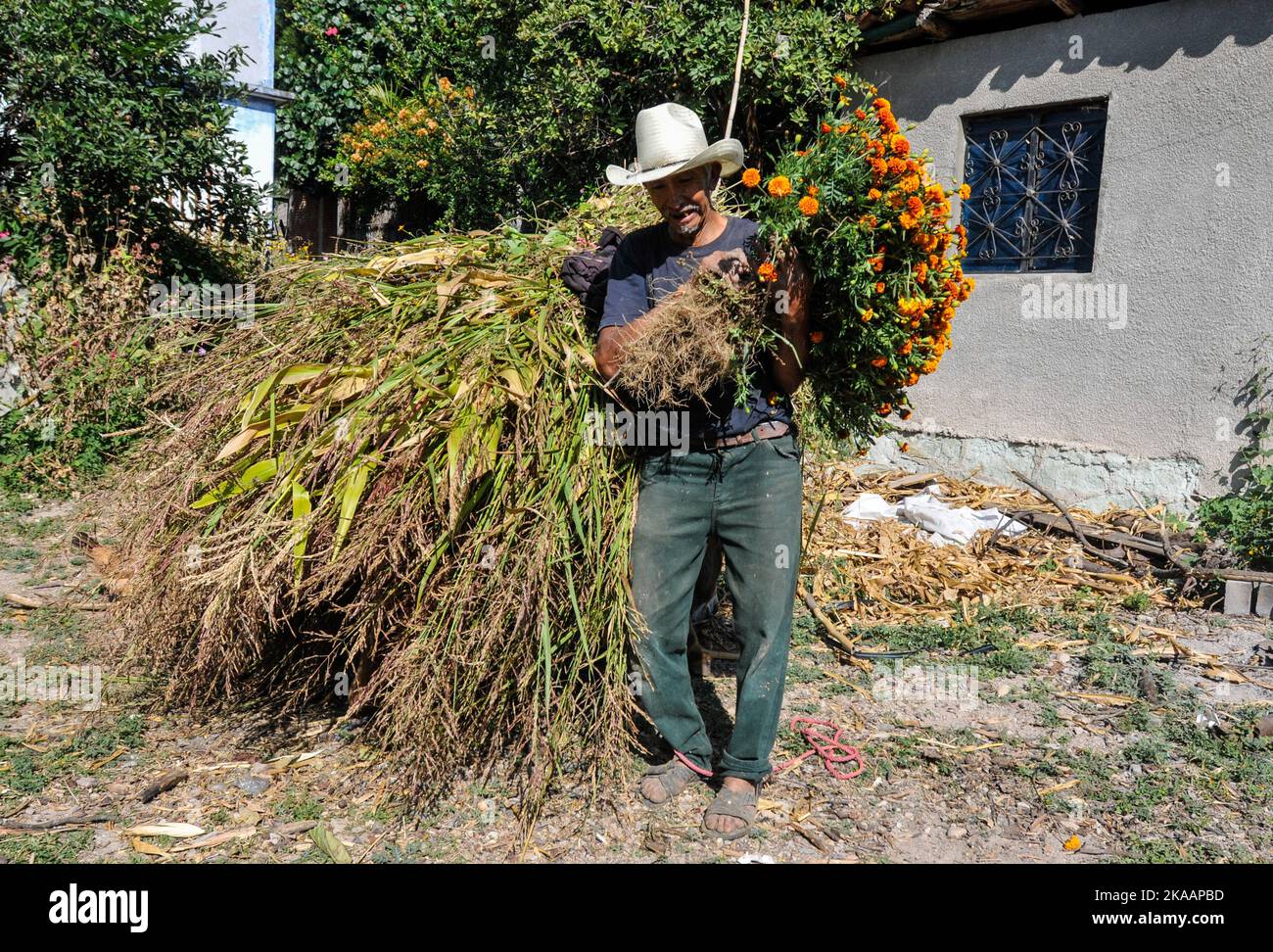 San Agustin Etla, Messico. 1st Nov 2022. La gente frequenta il cimitero di San Agustin per adornare le tombe dei loro cari con fiori di Cempasuchil e candele leggere come parte delle tradizioni di dia de Muertos. Il 1 novembre 2022 a San Agustin Etla, Messico. (Credit Image: © Ginare/eyepix via ZUMA Press Wire) Foto Stock