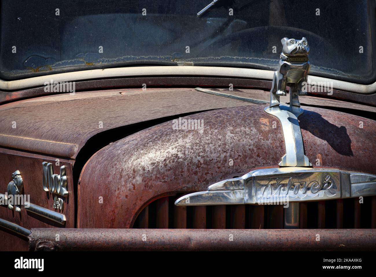 Hot Desert Patina e Rust su Vintage Work Truck dal 1950s in New Mexico Foto Stock