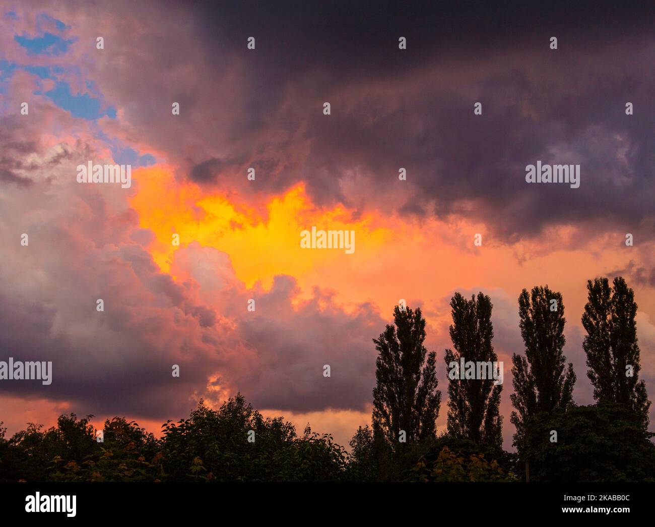 Bellissimo tramonto drammatico con alberi e tempesta a Francoforte Foto Stock