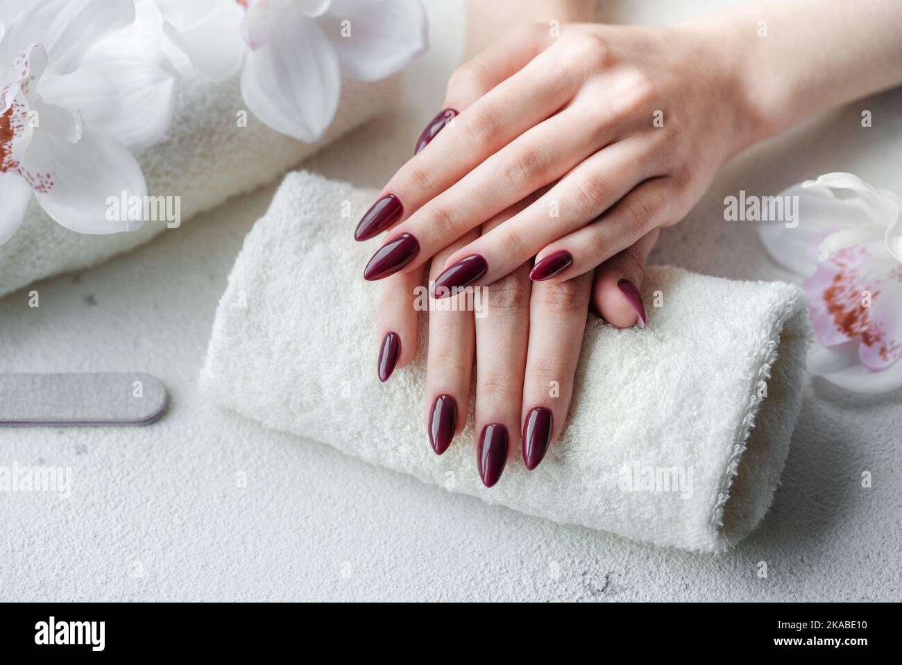 Belle mani di una giovane donna con manicure rosso scuro sulle unghie. Processo di manicure. Foto Stock