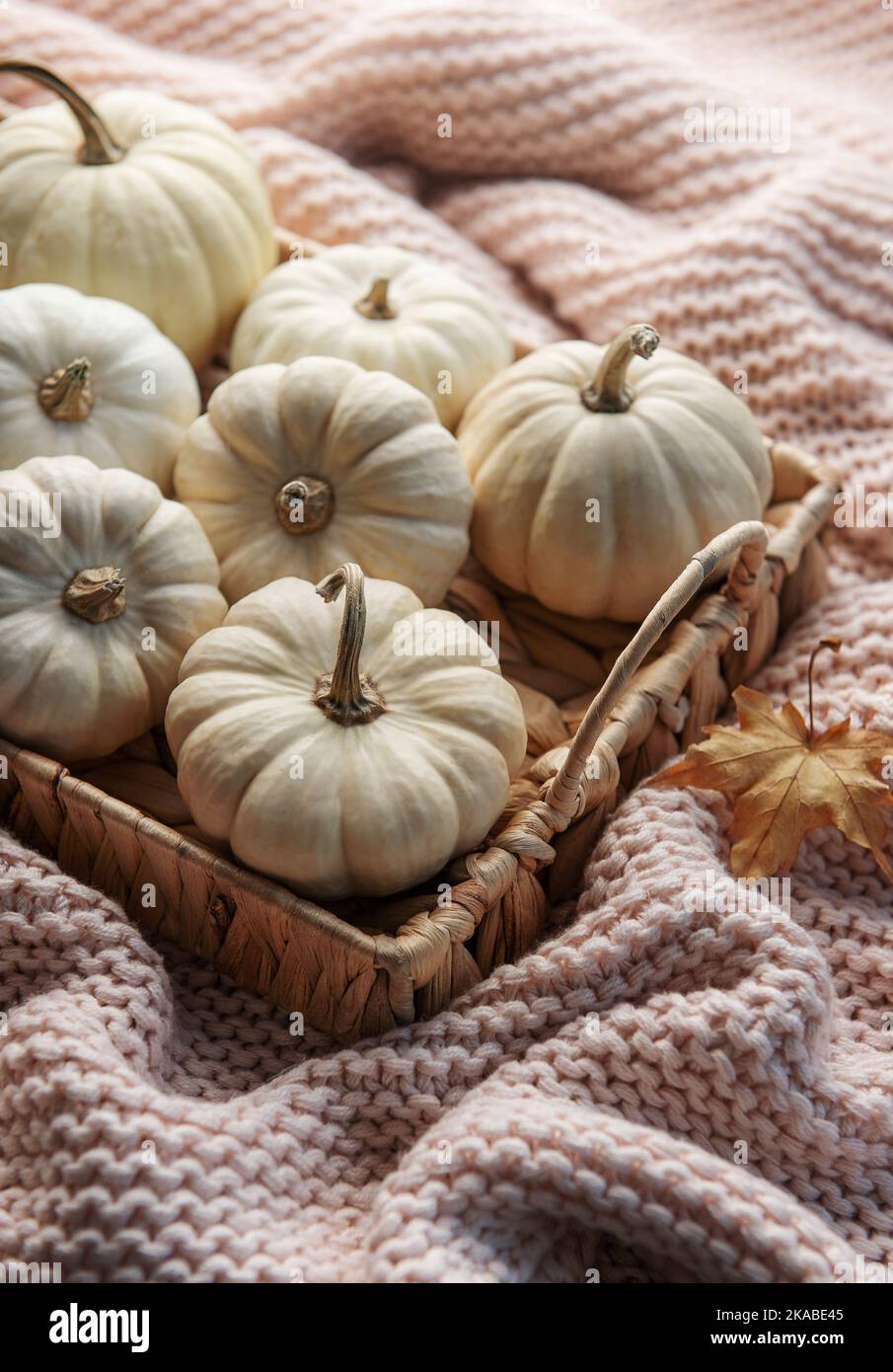 Zucche bianche e foglie autunnali su un vassoio di vimini Arredamento autunnale. Foto Stock