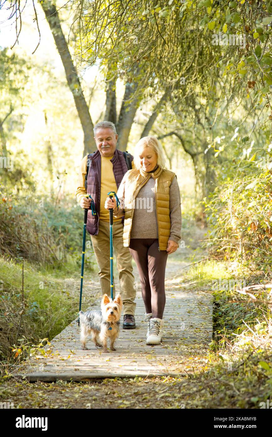 Foto verticale di una coppia matura che cammina un cane nella foresta Foto Stock