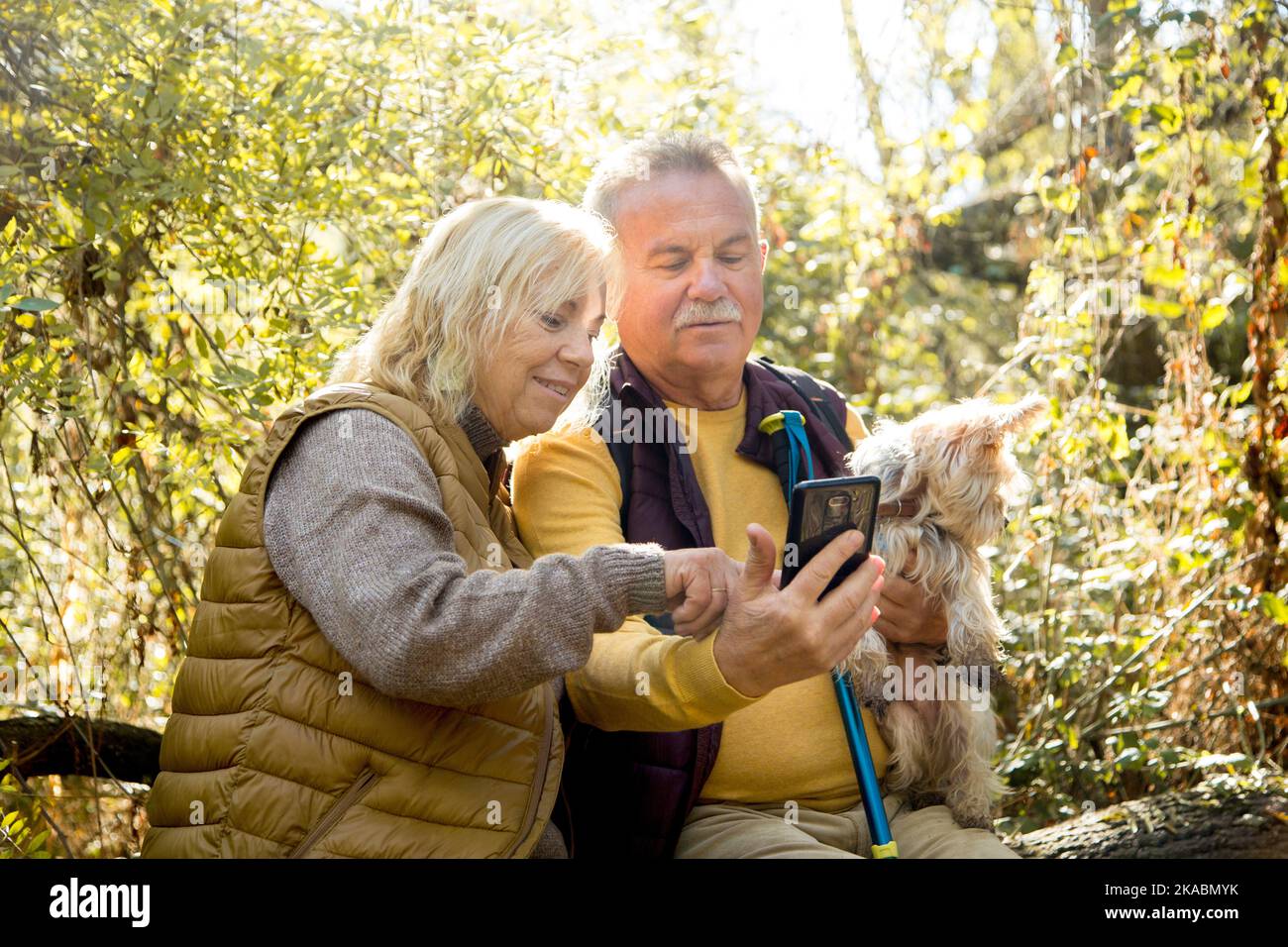 Coppia caucasica matura utilizzando il telefono cellulare durante un trekking nella foresta Foto Stock