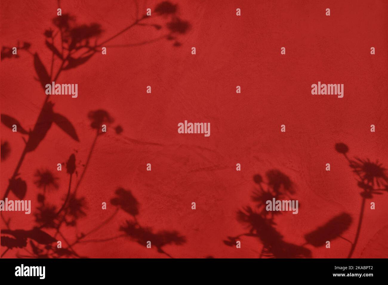 Ombra di fiori su sfondo rosso cemento parete texture Foto Stock