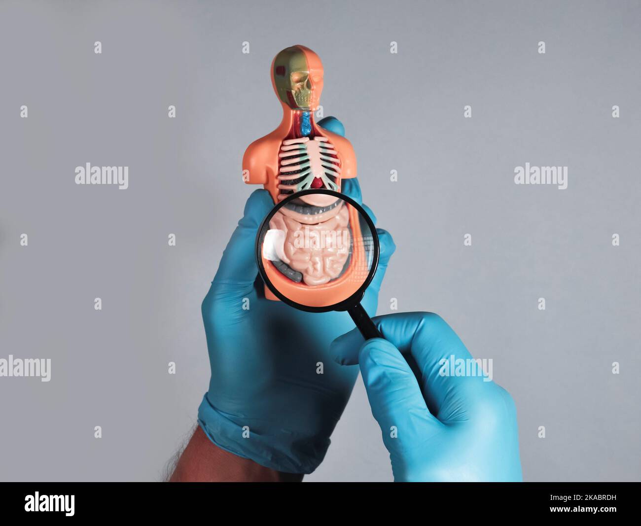 Manuale medico studiando e ingrandendo l'intestino modello 3D. Concetto di malattia digestiva. Foto Stock