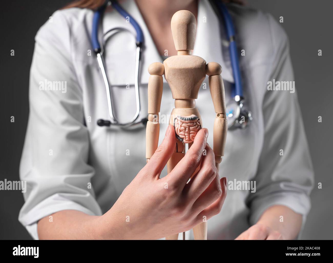 Intestino, modello a 3D organi. Mal gastrointestinale e intestino, concetto di salute del colon. Foto Stock