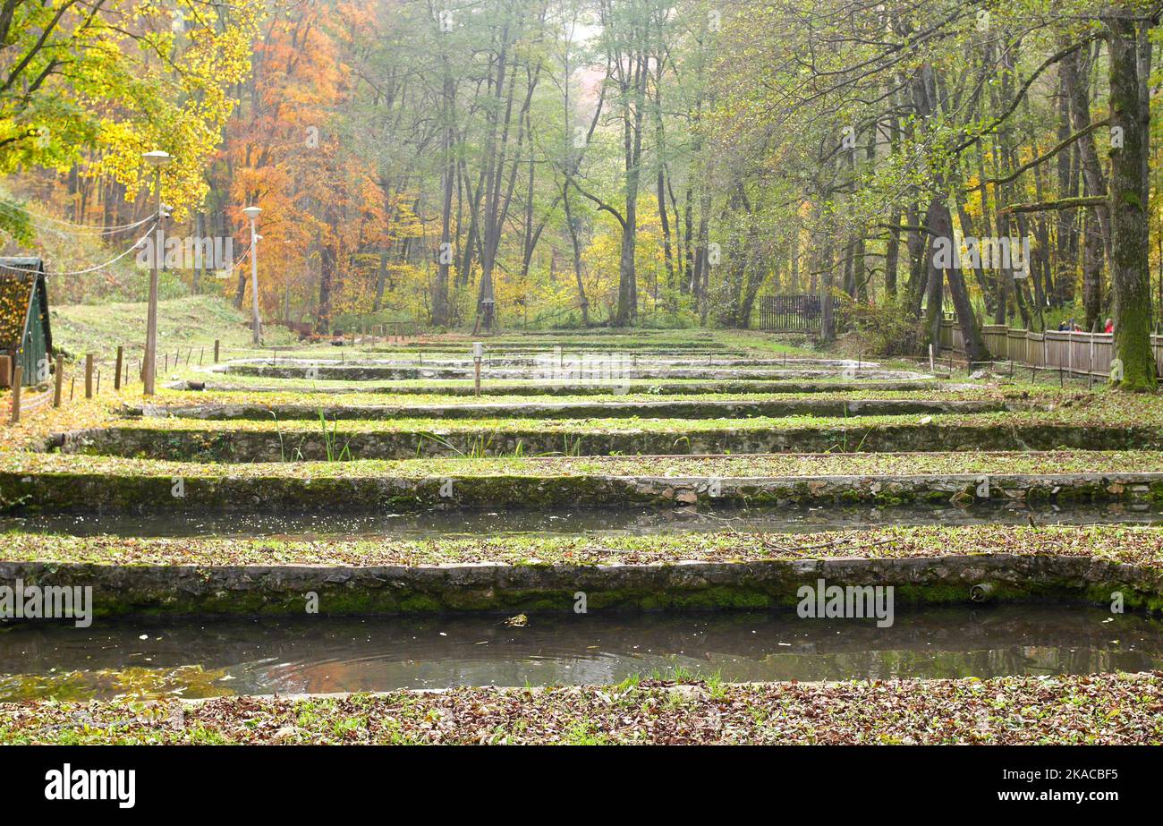 Vivaio di trote, Valle Szalajka, Parco Nazionale di Bukk, Monti Bukk, in autunno, ungheria settentrionale Foto Stock