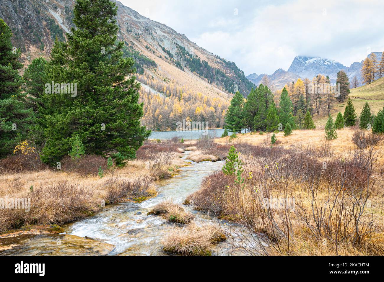 Bellissimo torrente di montagna che scorre dal lago Palpuogna al Passo dell'Albula nel cantone dei Grigioni, in Svizzera Foto Stock