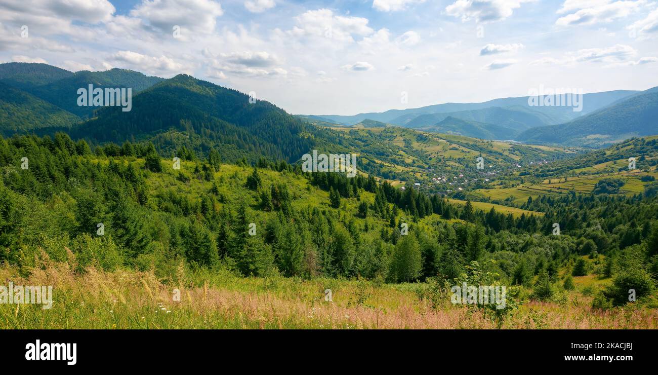 bellezza del paesaggio montano carpaziano in estate. splendido paesaggio verde in una giornata di sole. colline boscose e prati erbosi sotto un blu Foto Stock